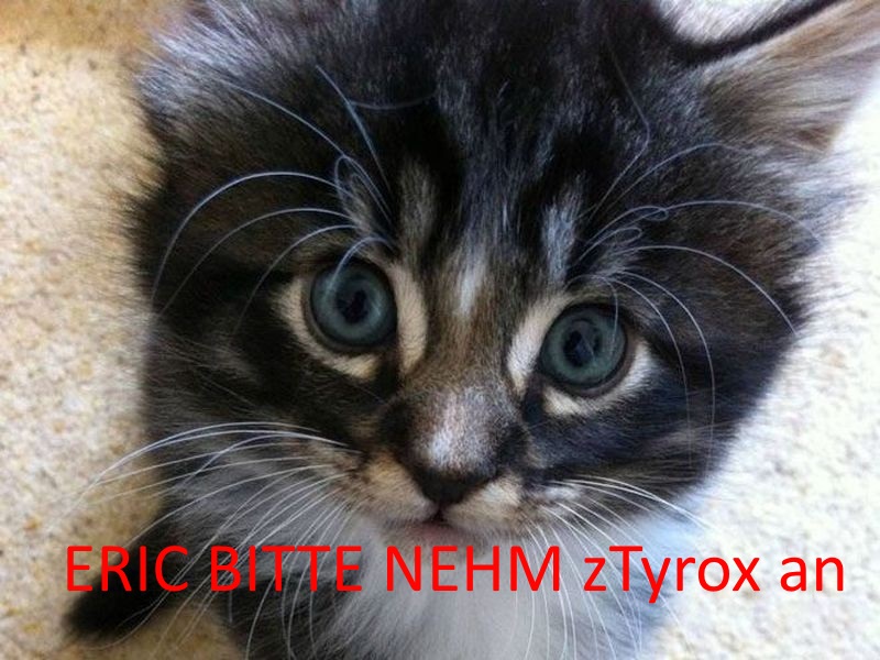 251649_4db626af1746ef2a03bb58c419110084.jpeg