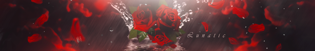 252047_fc1695ad650d87f60c1efbb7bba75485.png